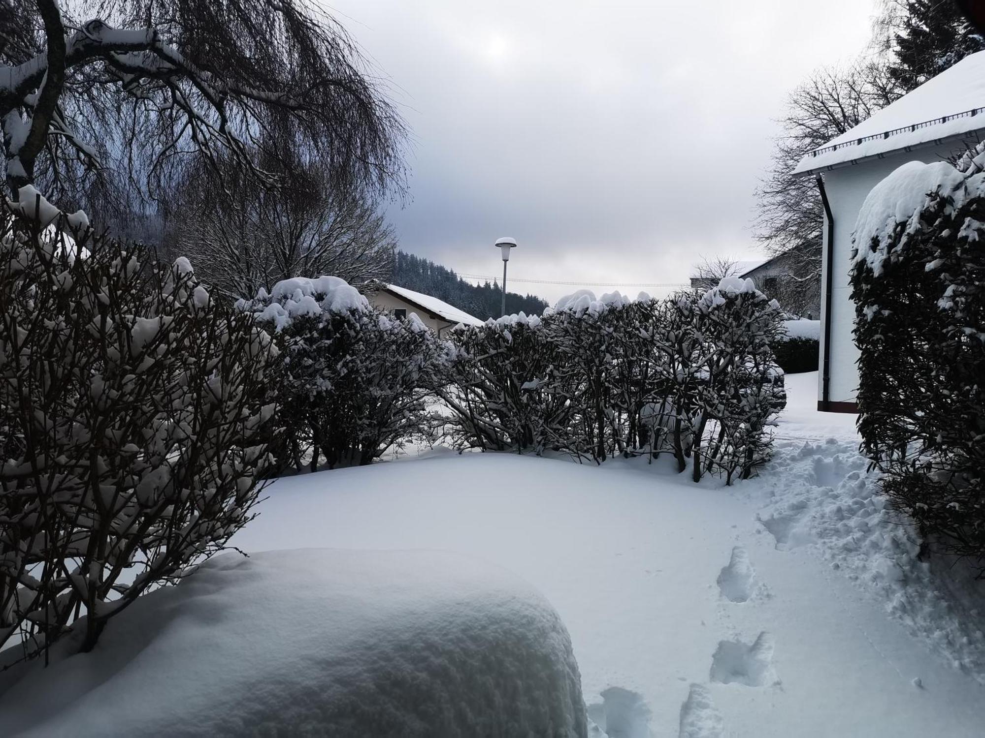 Fewo Kuhlmann Willingen  Exterior foto